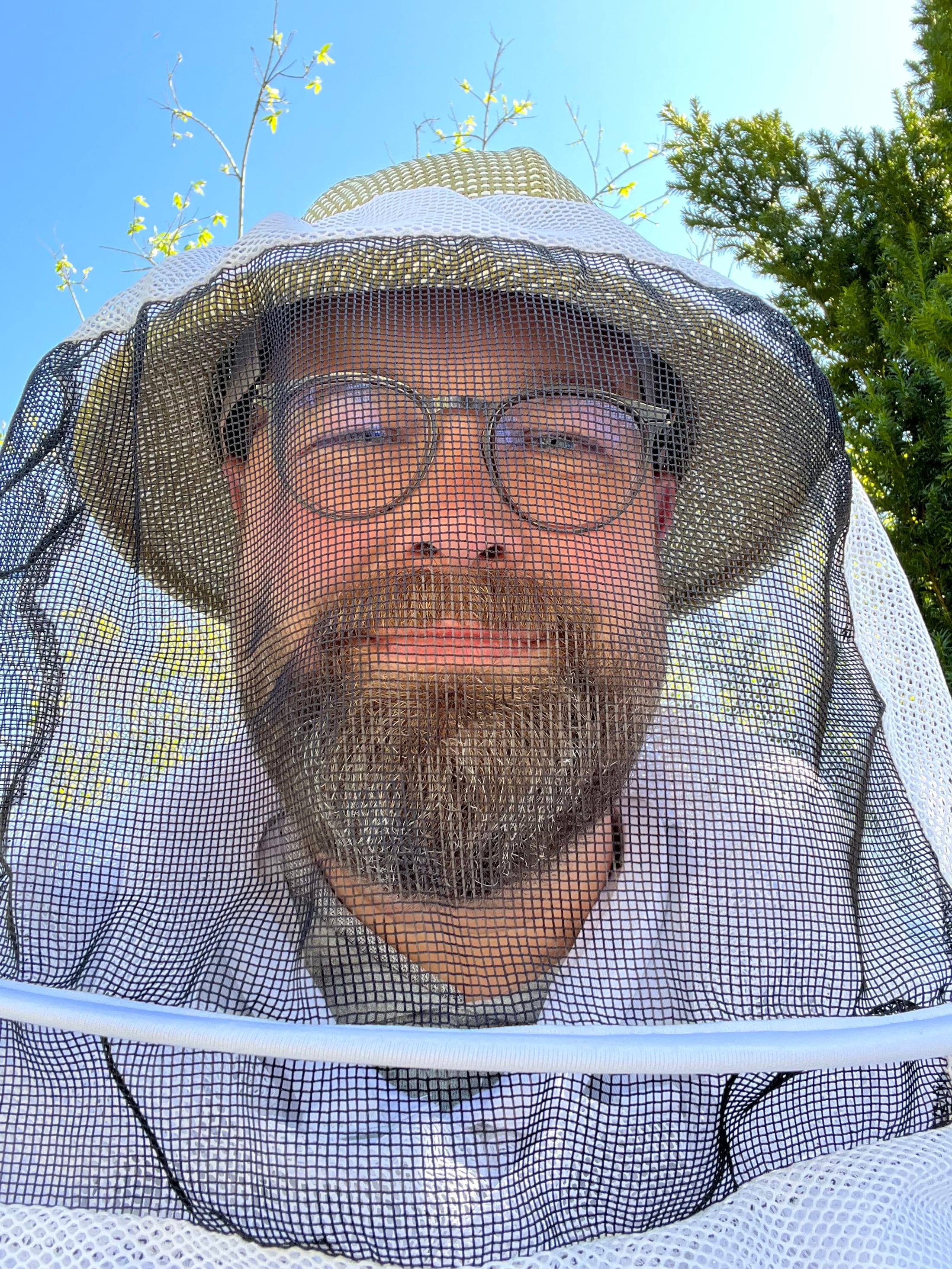Sven Fund wearing a beekeeping veil